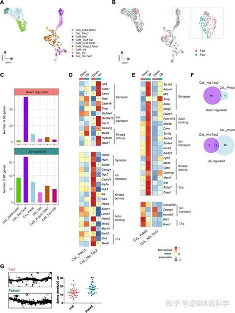 饿木命失运时间段_饿木命黄金时间段,第2张 饿木命失运时间段_饿木命黄金时间段,第2张